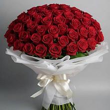 Букет 101 Красная роза Блэк Мэджик в Павлова