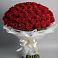Букет 101 Красная роза Блэк Мэджик в Павлова