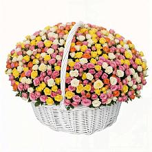 Премиум букет из: Розы в Павлова