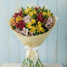 Букет цветов из:  Альстромерии #REPLACE_PRED# Павлова