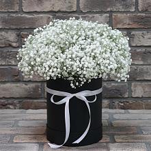 Цветочная композиция из Гипсофила в шляпной коробке в Павлова