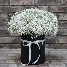 Цветочная композиция из Гипсофила в шляпной коробке в Павлова