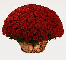 Премиум букет из: Розы в Павлова