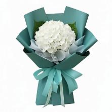Букет цветов из:  Гортензия в Павлова